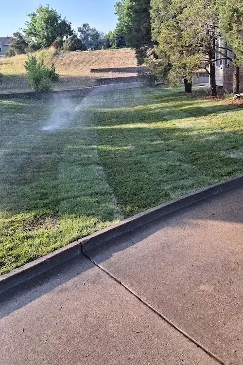 jo-landscaping-denver-residential-project (20)